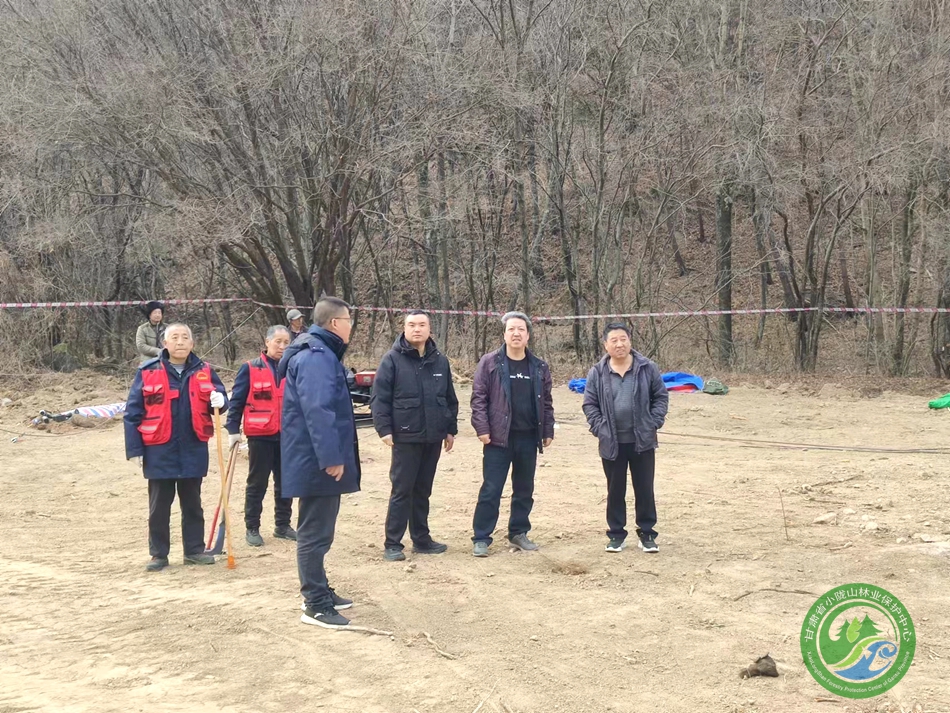 太东林场最新新闻动态报道