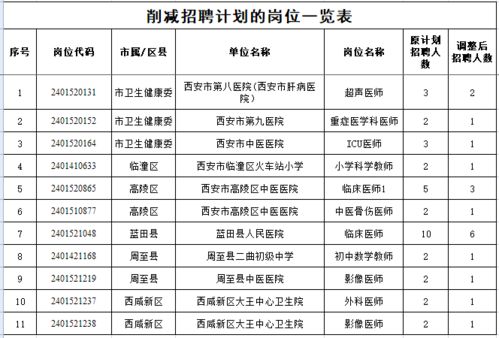 肥西县级托养福利事业单位发展规划展望