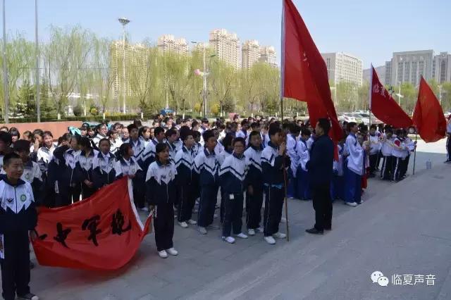 临夏回族自治州共青团市委新项目，引领青年力量，共筑美好未来之梦